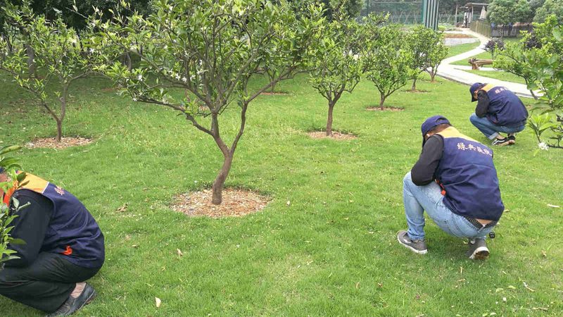上海庭院设计报价明细表：揭秘庭院设计成本构成