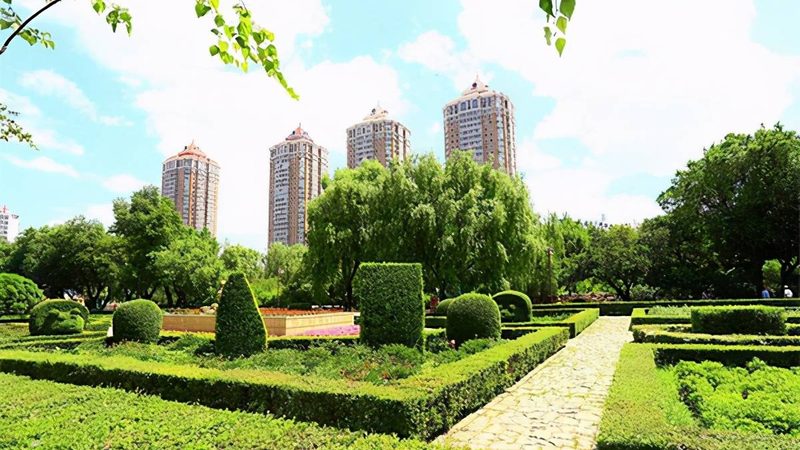园林绿化苗木种植的五大关键点**