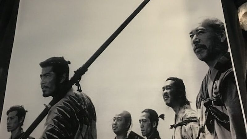 冬季绿化养护：如何确保苗木安全越冬