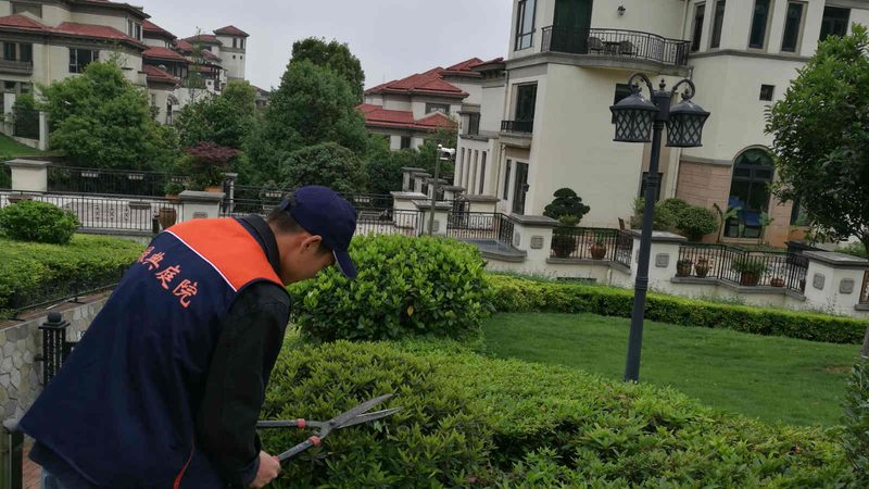 高校校园绿化改造，报价背后的考量因素