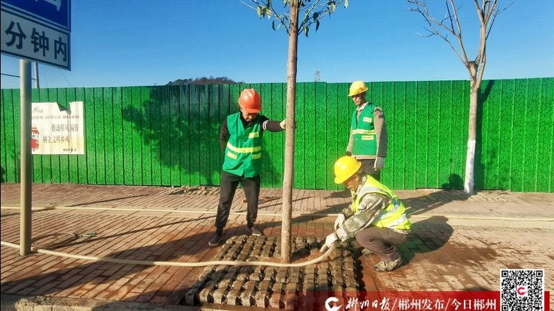 商业街绿化养护成本解析：如何科学评估一平方的养护费用