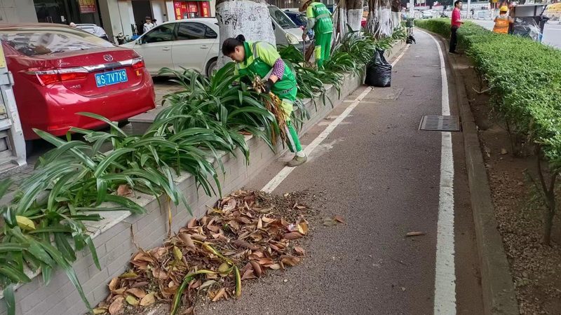 植物墙模块：揭秘规格型号背后的奥秘**