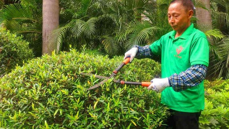 绿化工程验收报价：关键要素与合理评估**