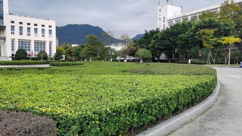 新中式别墅花园防腐木：品质与价格的平衡之道