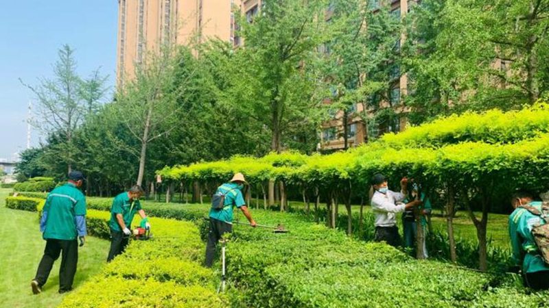 上海假山喷泉制作安装：价格背后的考量因素**