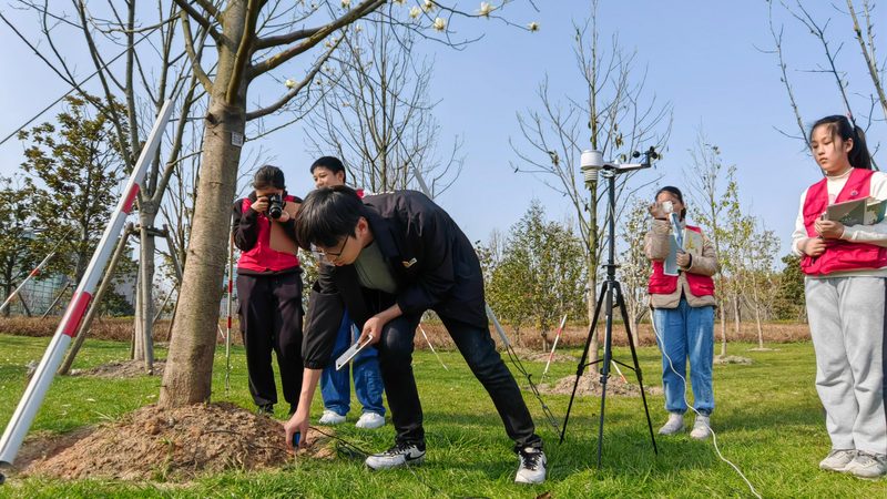 成都绿植租赁按年收费：优势与注意事项